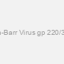 Mouse Anti-EBV Epstein-Barr Virus gp 220/350 Monoclonal Antibody